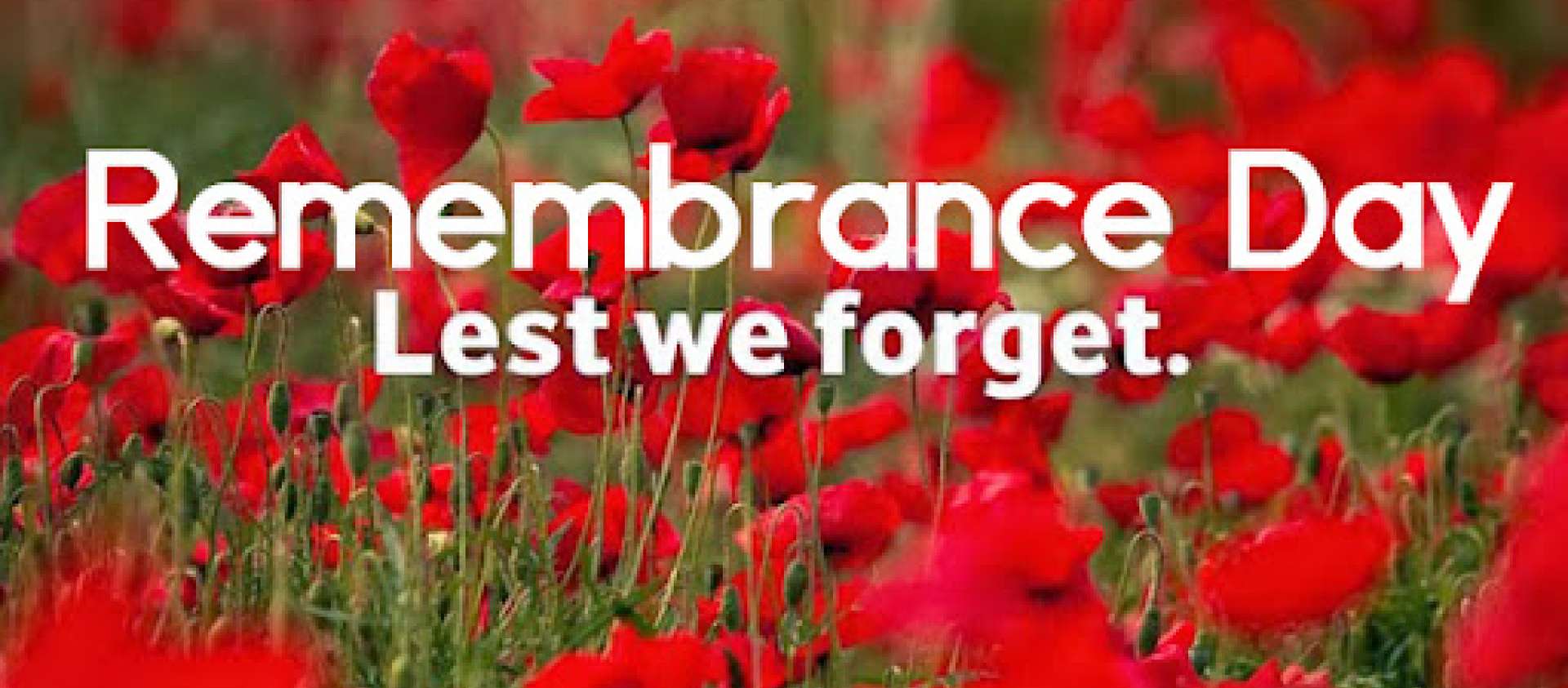 Pictures of poppies in a field with the caption Remembrance Day Lest we Forget